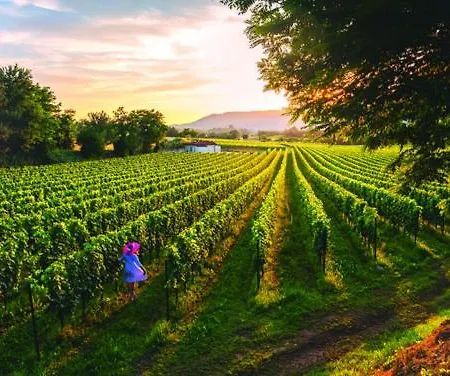 Appartamento Il Poggio *